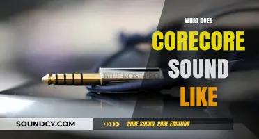 Exploring the Sonic Identity of Corecore: What Does It Sound Like?