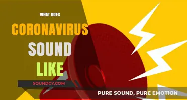 Unveiling the Acoustic Mystery: What Does Coronavirus Sound Like?
