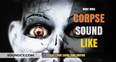 Unveiling the Eerie Silence: What Does a Corpse Sound Like?
