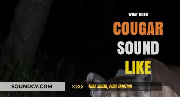 Unveiling the Mysterious Vocalizations of Cougars: What Does a Cougar Sound Like?