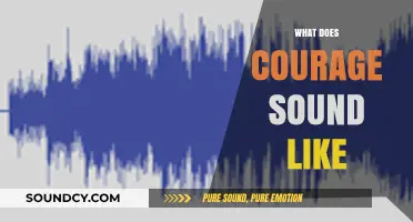 What Does Courage Sound Like? Exploring the Audible Face of Bravery