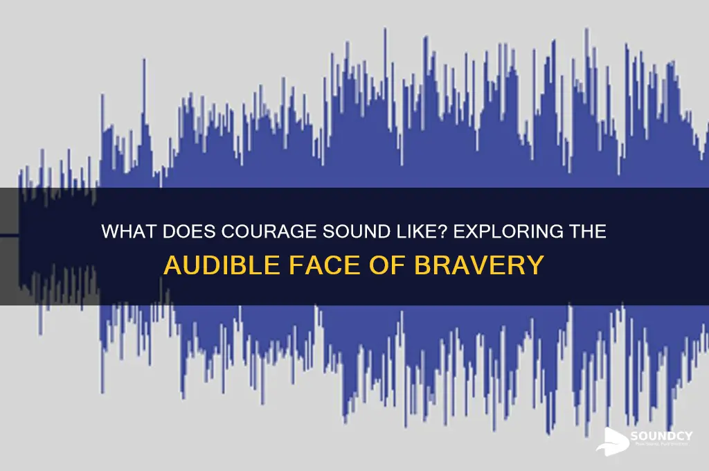 what does courage sound like