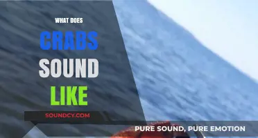 Unveiling the Unique Sounds: What Do Crabs Actually Sound Like?