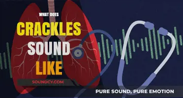 Unraveling the Mystery: What Do Crackles Sound Like in Lungs?