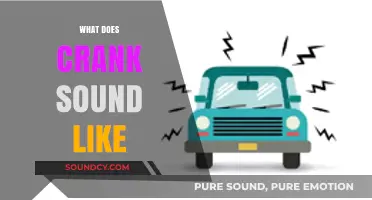 Unraveling the Unique Noise: What Does a Crank Sound Like?