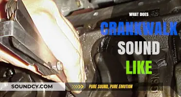 Identifying Crankwalk: Distinct Engine Noises and Their Diagnostic Sounds