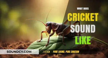 The Soothing Symphony of Cricket Chirps: Unraveling Nature's Nighttime Melody
