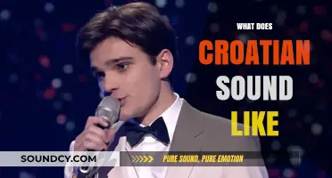 Exploring the Unique Melody and Rhythm of Croatian Speech