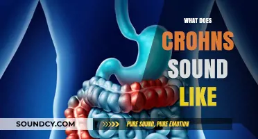 Unveiling Crohn's Disease: The Audible Symptoms and Sounds Explained