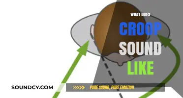 Understanding the Unique Sound of Croop: A Comprehensive Auditory Guide