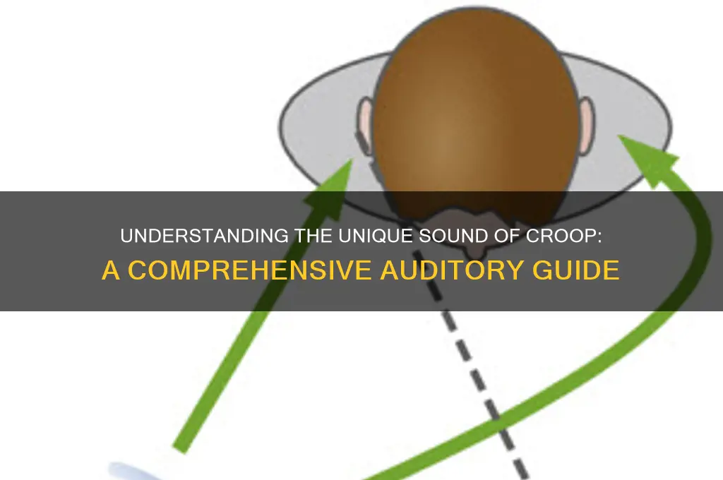 what does croop sound like