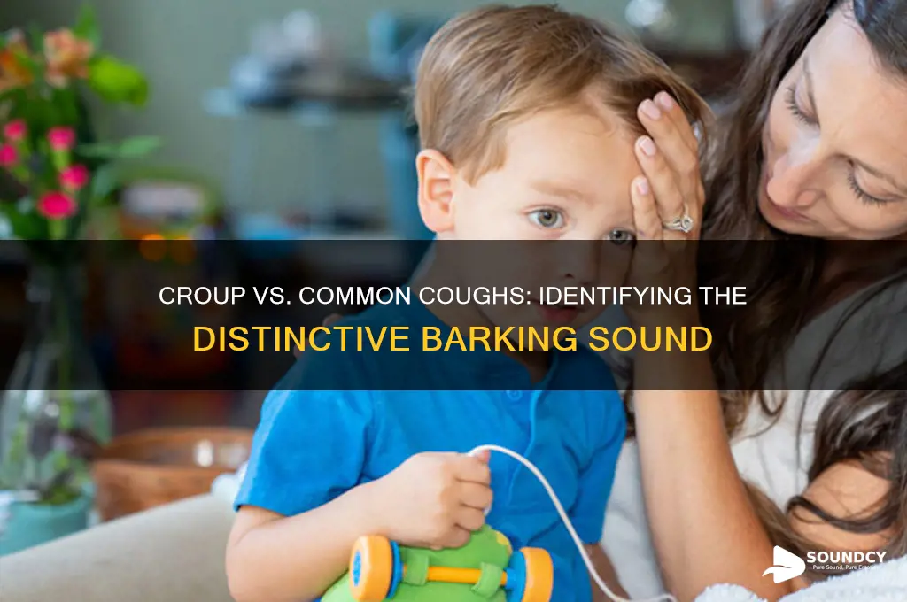 what does croup sound like compared to other coughs