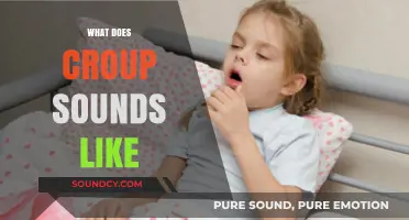 Understanding Croup: Identifying the Distinctive Barking Cough and Noisy Breathing