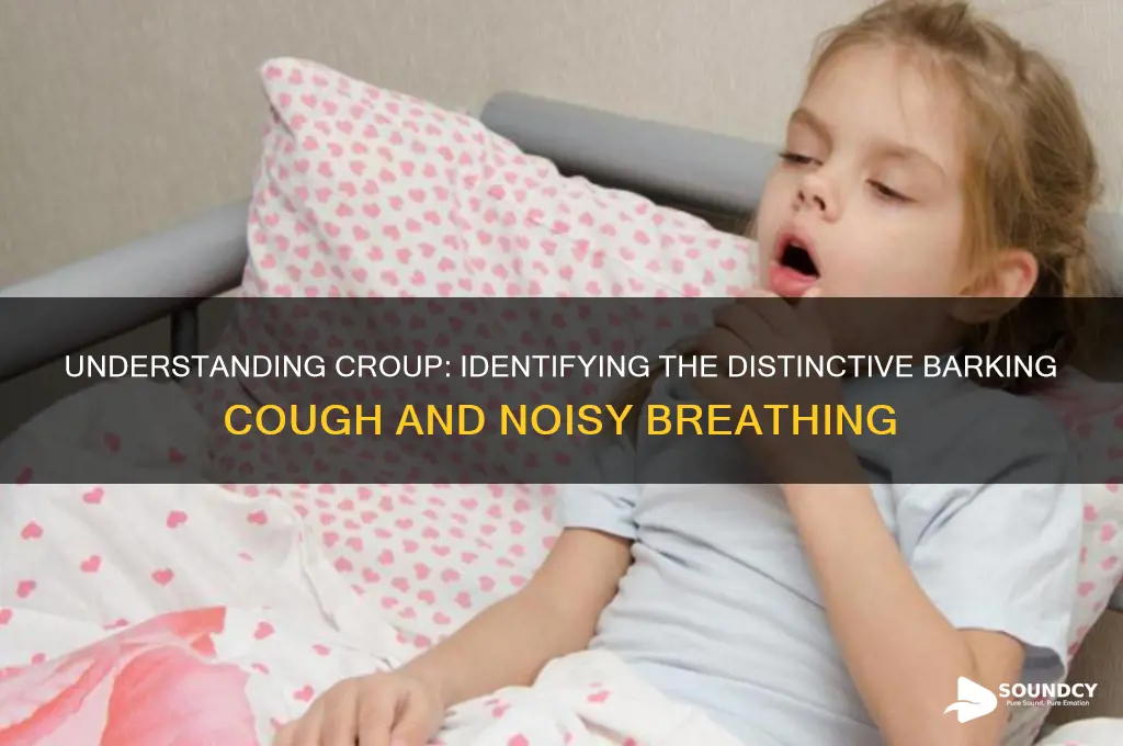 what does croup sounds like