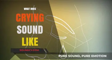 Decoding the Universal Language: What Does Crying Sound Like?