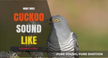 Discover the Unique and Intriguing Sound of a Cuckoo's Call