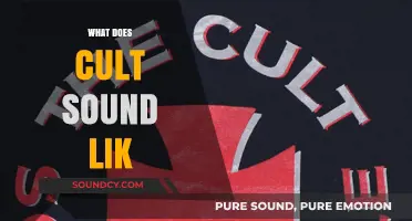 Decoding the Sonic Identity: What Does a Cult Sound Like?