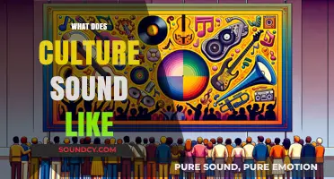 Exploring the Sonic Identity: What Does Culture Sound Like?