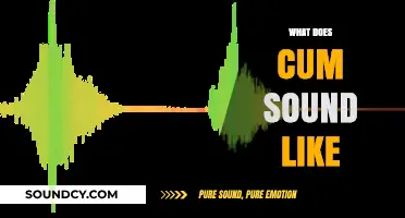 Exploring the Audible Nuances: What Does Cum Sound Like?