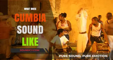 Exploring Cumbia's Vibrant Rhythms: A Guide to Its Unique Sound