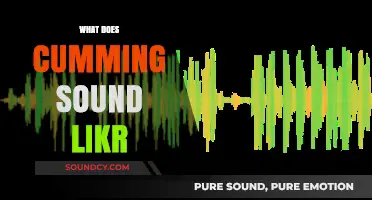 Exploring the Audible Experience: What Does Cumming Sound Like?