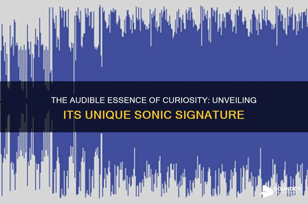 what does curiosity sound like