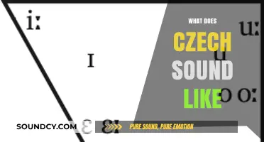 Exploring the Unique Sounds and Rhythms of the Czech Language