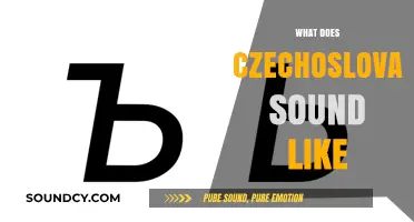 Exploring the Unique Sounds and Pronunciation of Czechoslovakian Language