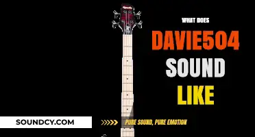 Exploring Davie504's Unique Bass Guitar Sound and Signature Style