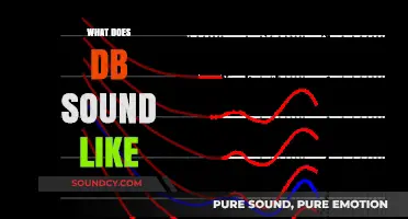 Unveiling the Sonic Mystery: What Does DB Sound Like?