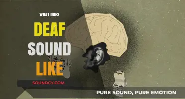 What Does Deaf Sound Like? Exploring Silence, Perception, and Communication
