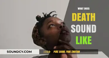 The Haunting Silence: Exploring the Eerie Sounds of Death