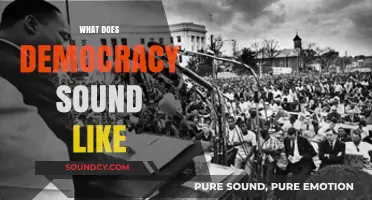 What Does Democracy Sound Like: Voices, Debates, and Civic Echoes