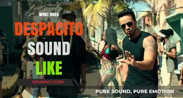 Exploring the Catchy Rhythms and Melodious Vibes of Despacito's Sound