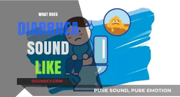 Unraveling the Audible Mystery: What Does Diarrhea Sound Like?