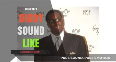 Unveiling Diddy's Unique Voice: A Deep Dive into His Signature Sound