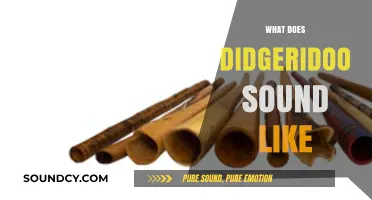 Unveiling the Unique, Deep, and Vibrant Sound of the Didgeridoo
