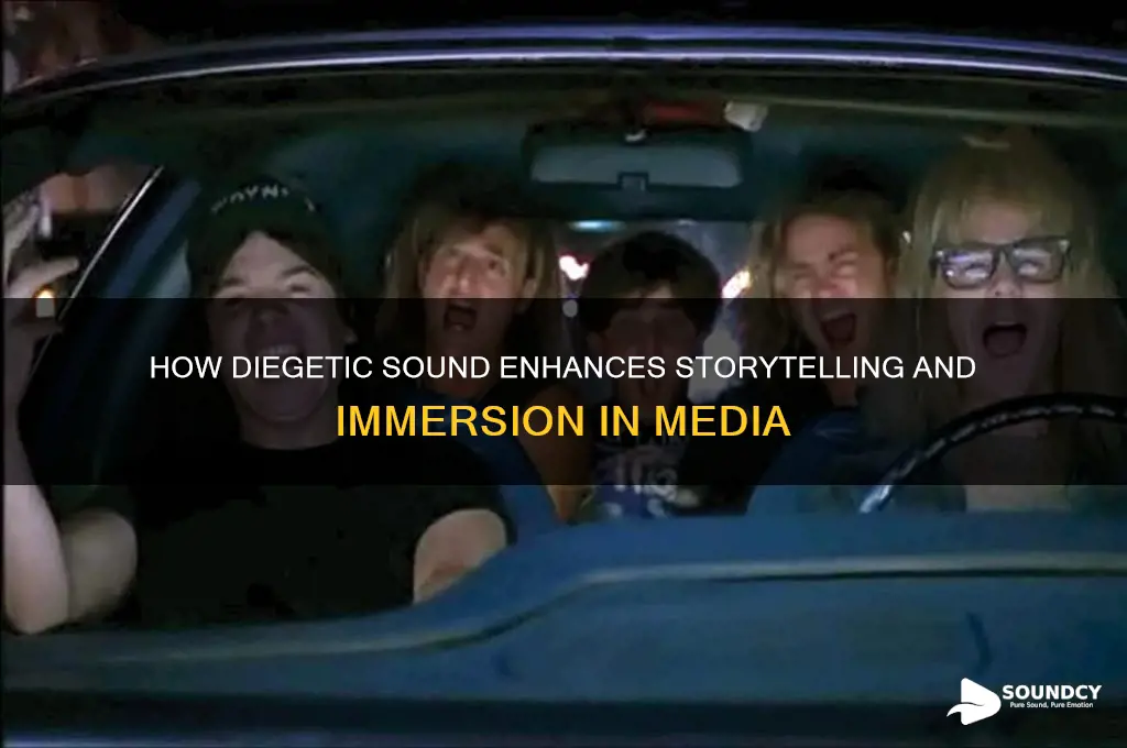 what does diegetic sound do