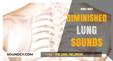 Understanding Diminished Lung Sounds: Causes, Symptoms, and Diagnosis Explained