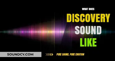 Unveiling the Audible Essence of Discovery: A Sonic Exploration