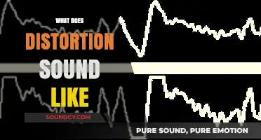 Unraveling the Unique Sonic Signature of Distortion in Music