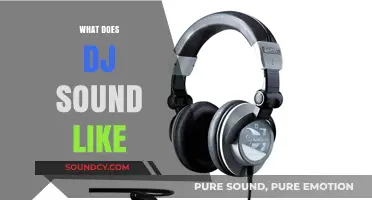Exploring the Unique Sonic Signature: What Does a DJ Sound Like?
