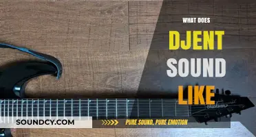 Unraveling the Unique Sonic Signature of Djent: A Genre Explained
