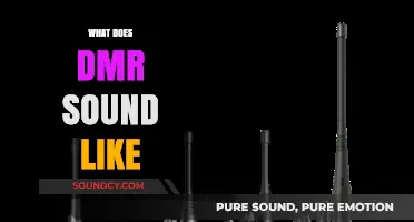 Exploring DMR: Unveiling the Unique Audio Characteristics of Digital Mobile Radio