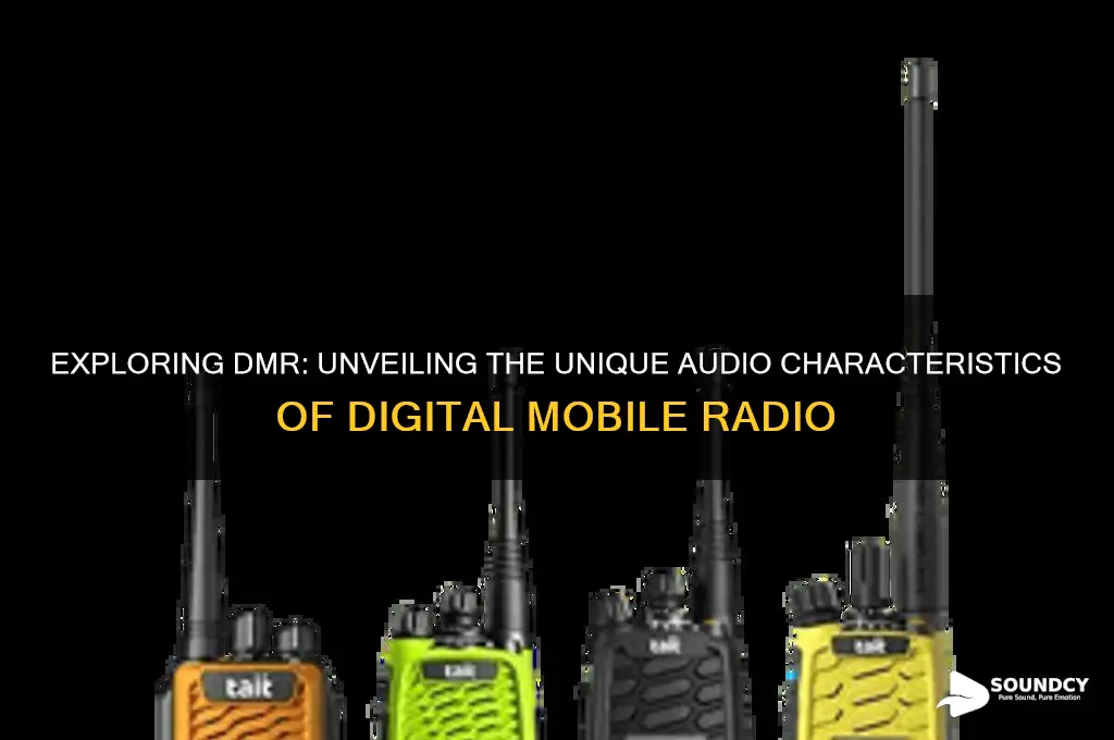 what does dmr sound like