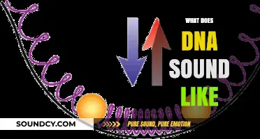 Unveiling the Sonic Secrets: What Does DNA Sound Like?
