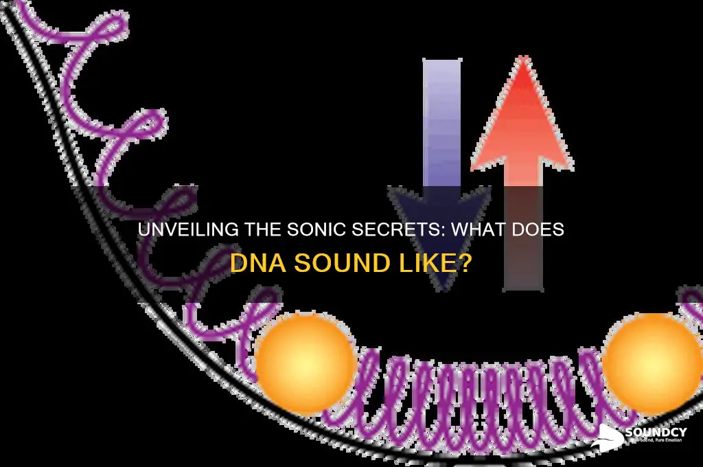what does dna sound like