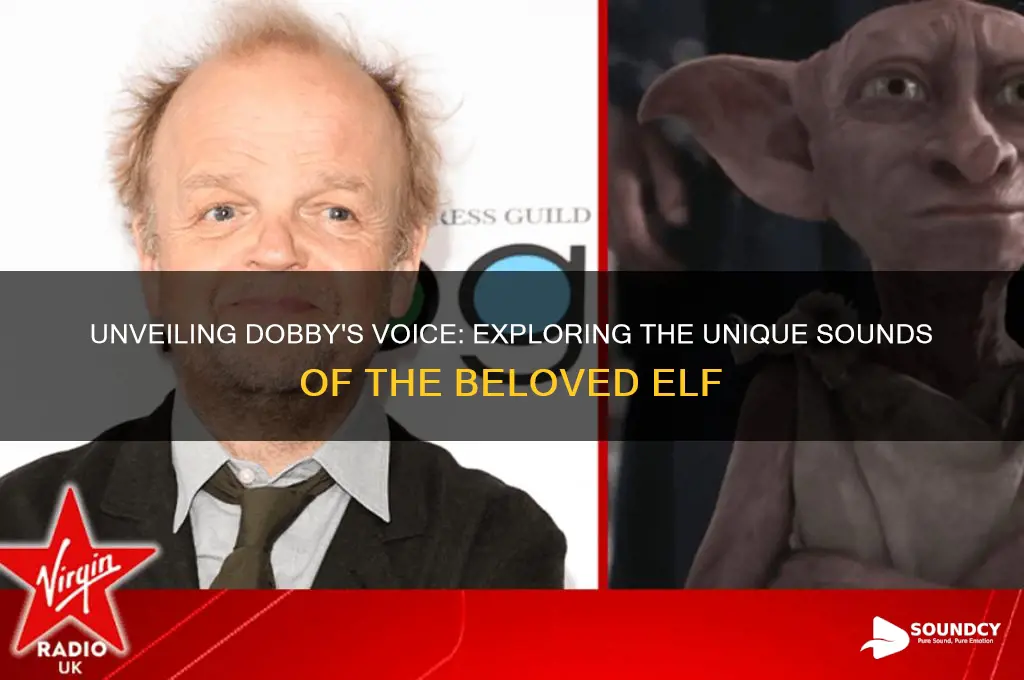 what does dobby sound like