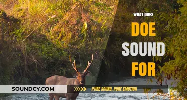Understanding Doe Sounds: Communication, Mating, and Survival in the Wild