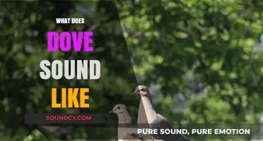 Exploring the Gentle, Soothing Sounds of Doves in Nature